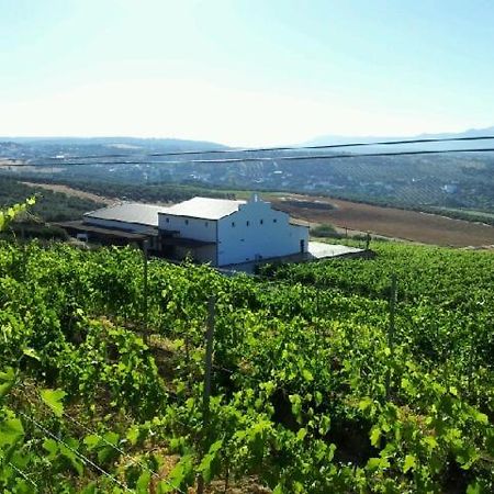 Bodegas Morosanto Leilighet La Cimada Eksteriør bilde