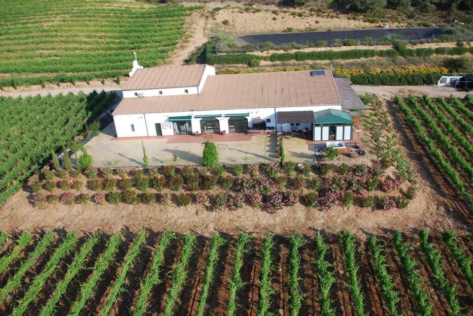 Bodegas Morosanto Leilighet La Cimada Eksteriør bilde